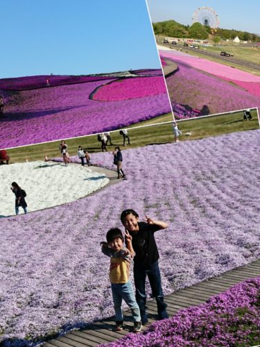 collage-1492959661742