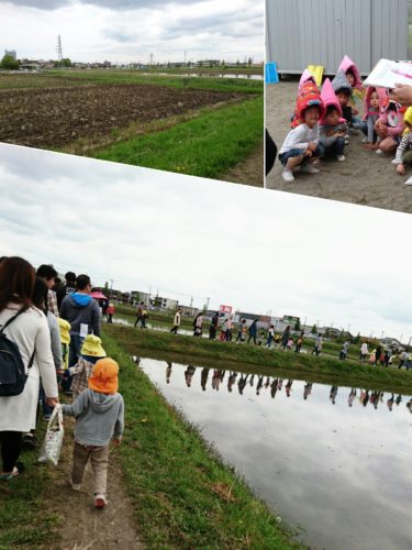 collage-1493045086564