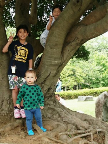 collage-1493908851107