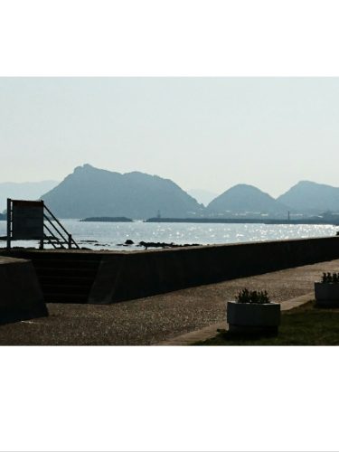 collage-1495378300566